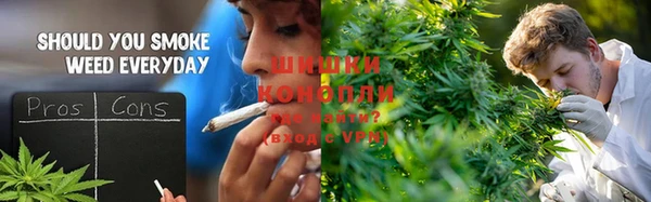 соль ск Абаза