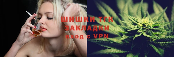 PSILOCYBIN Алексеевка